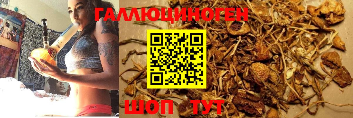 Псилоцибиновые грибы Psilocybine cubensis  Вход с VPN  Лесозаводск 